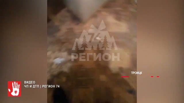 Квартира на выживание. В Троицке пенсионерка вынуждена жить в нечеловеческих условиях