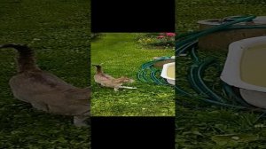 🎣У нас есть только 🐟любители🐠🎒🏫🚶♀️рыбалки📣.