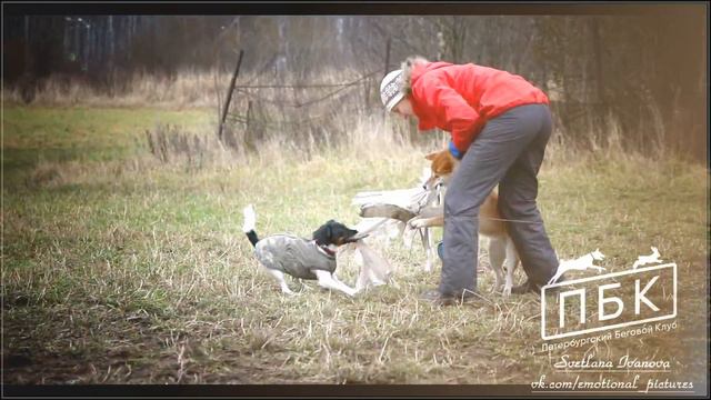 Тренировка курсинг 19 ноября ! смотреть онлайн