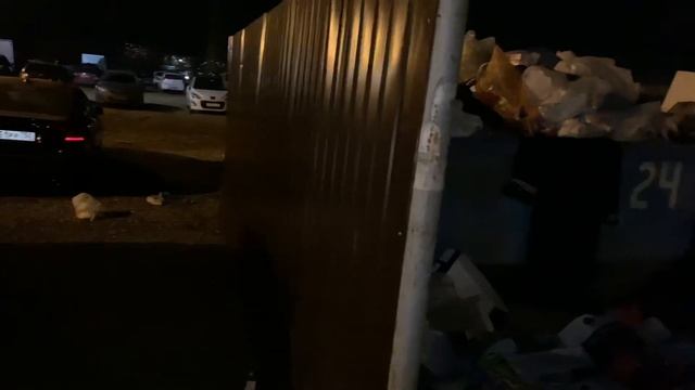 Про мусорки на Красной Горке | Красная Горка, Подольск смотреть онлайн