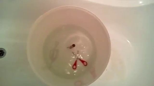 Этап 2. Дезинфекция смотреть онлайн