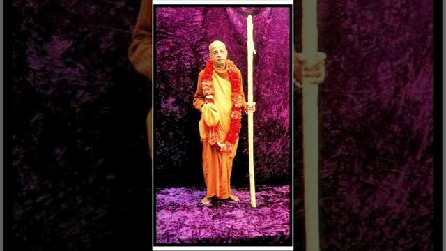 Кришну можно постичь... Шрила Прабхупада #Shorts смотреть онлайн