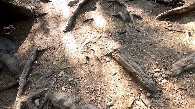 Цветные озера в Польше Rudawski Park Krajobrazowy смотреть онлайн