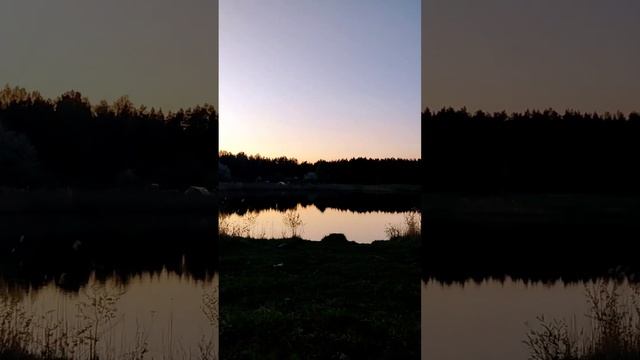 Моноколесо, лес и аэропорт смотреть онлайн