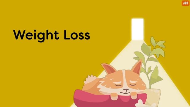 10 Critical Signs that Indicates Your Dog is Dying смотреть онлайн