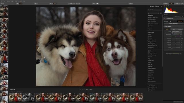 Review of the Luminar 3 from Skylum Software смотреть онлайн