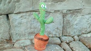 Танцует кактус 🌵 мем 1 час