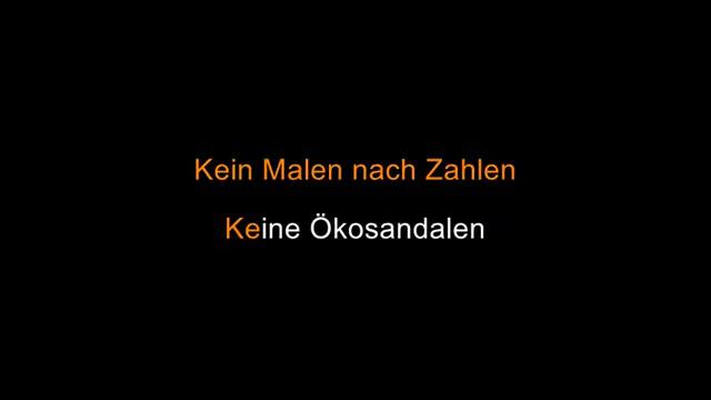 Reinhard Mey - Ich brauche einen Sommelier [Karaoke] смотреть онлайн