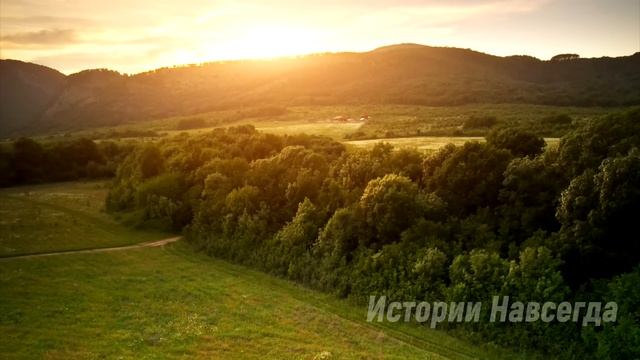 Теперь я буду жить у вас, наглая свекровь поставила свой чемодан на пороге. Но когда невестка… смотреть онлайн
