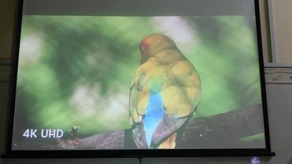 EPSON CB/EB-530 Short Throw Projector