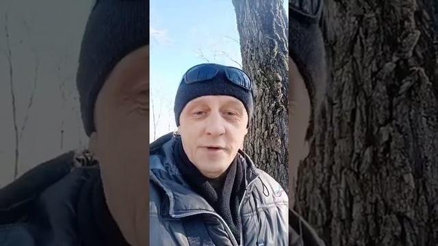 Приметы_ осина.mp4 смотреть онлайн