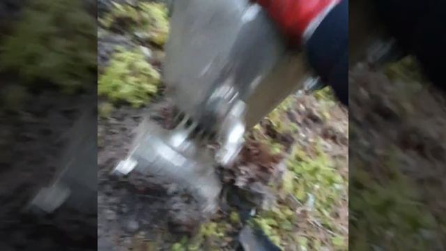 SUPER MEGA PINPOINTER FINDS IN THE FOREST! All animals in the forest scattered when I found it... смотреть онлайн