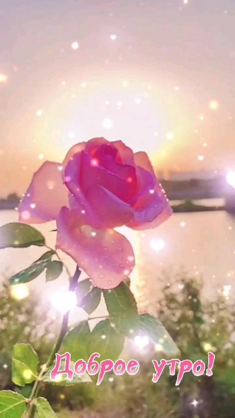 Пожелание счастливого дня ! Красивая видео открытка с добрыми пожеланиями. смотреть онлайн