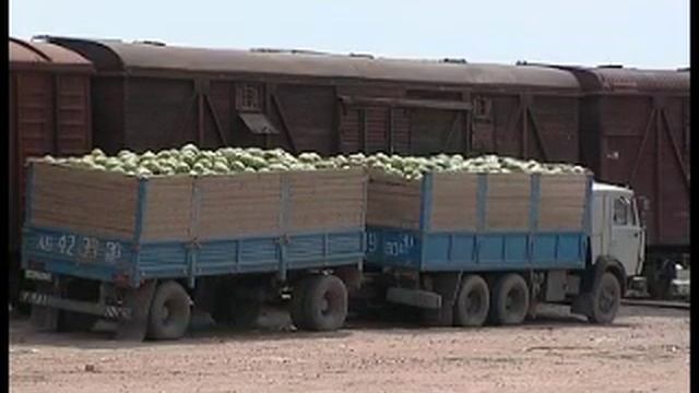 ПОГРУЗКА АСТРАХАНСКИХ АРБУЗОВ смотреть онлайн