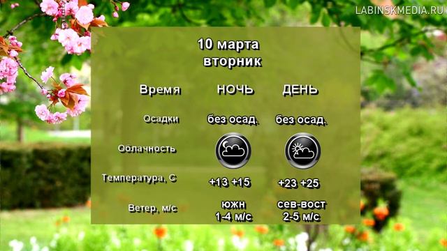 Погода на неделю с 9 по 15 марта 2020 года. смотреть онлайн