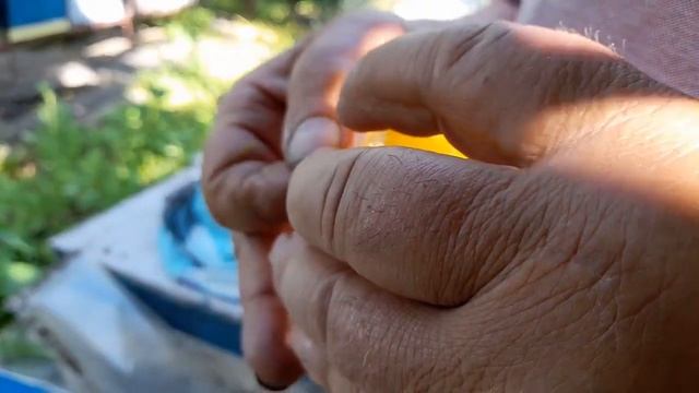 Как поймать и пометить матку смотреть онлайн