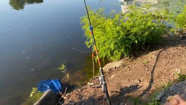 КАРАСЬ И ТАРАНЬ НА УТРЕННЕЙ ЗОРЬКЕ ИЮЛЬ 2022 #рыбалка2022 #рыбалказапорожье #ловлякарася