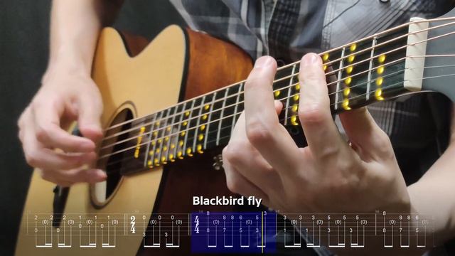 The Beatles – Blackbird. Fingerstyle Guitar Cover And Tabs