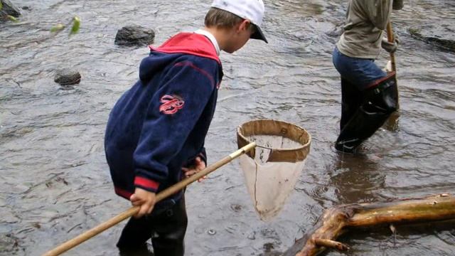 2012 Watershed Awards - Toyota Motor Manufacturing Canada смотреть онлайн