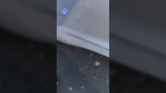 KIA CEED | ПРОВЕРКА ТОЛЩИНЫ ЛКП