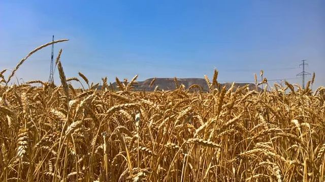 Как понять, чему Бог хочет меня научить смотреть онлайн