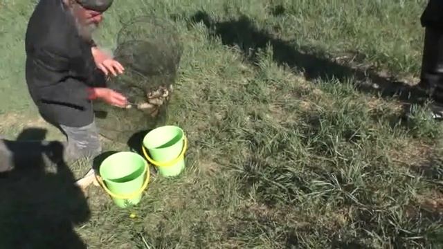 Батюшка рыбачит для переноса рыбы в иной пруд. Симаковский. 10. 06. 2021 смотреть онлайн