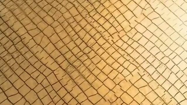 Кожаный пол Alligator Gold, пробковый пол Corkstyle Wood Oak Grey смотреть онлайн