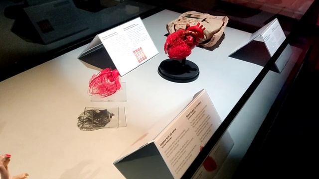 Семейный Влог// Рождественские выходные в Польше// Выставка Body World// смотреть онлайн