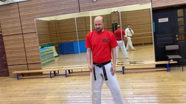 Ката с оружием Сёдзи но кун. Окинава кобудо. Роман Грузинов смотреть онлайн