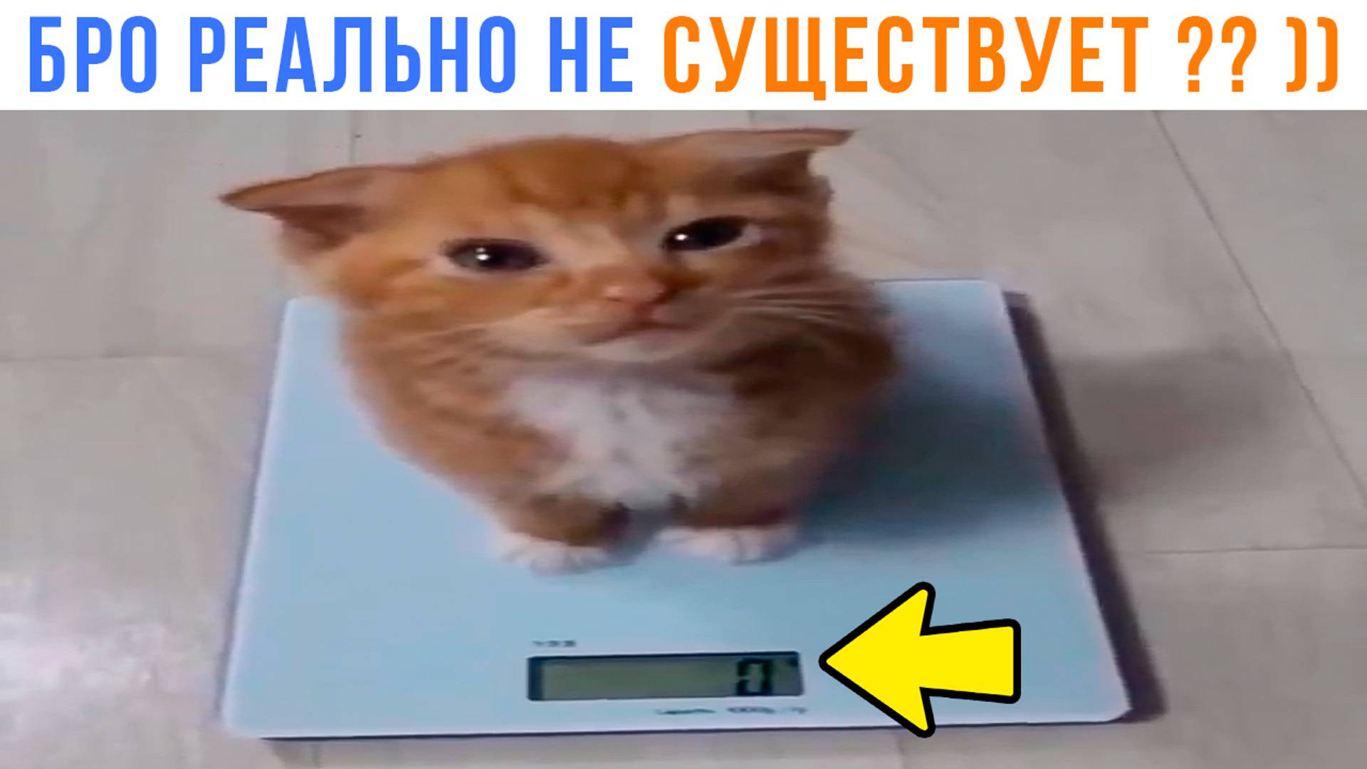 ЕГО НЕ СУЩЕСТВУЕТ??? ))) Приколы | Мемозг 1468 смотреть онлайн