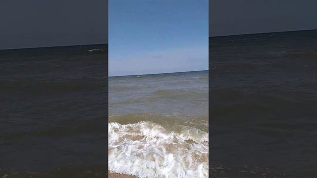 Самое тёплое мелкое море с самым большим количеством рыбы смотреть онлайн
