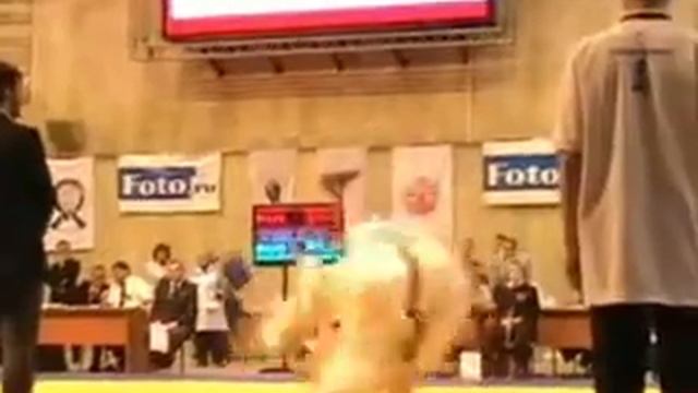 клуб БЭКДУ на турнире FOTO RU OPEN 2012 смотреть онлайн