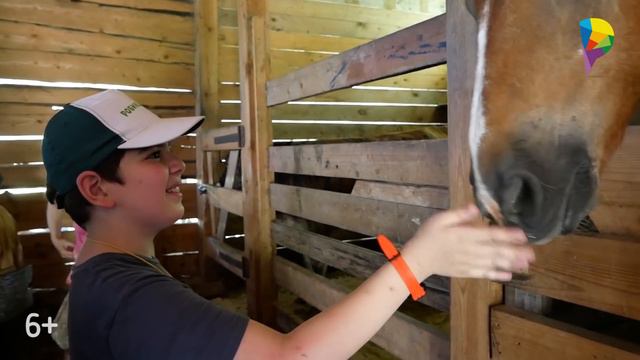 Увлекательное путешествие детей на экоферму смотреть онлайн