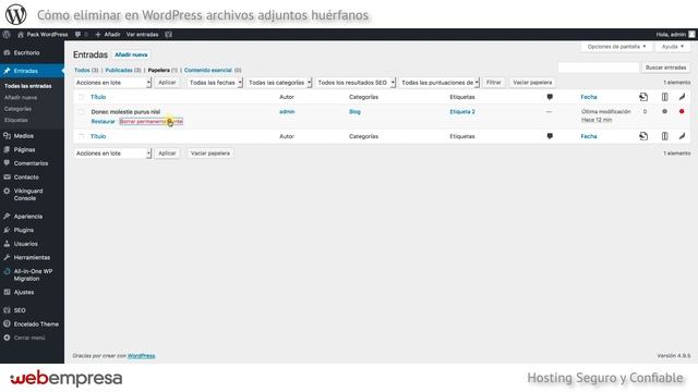 Cómo eliminar en WordPress archivos adjuntos huérfanos смотреть онлайн