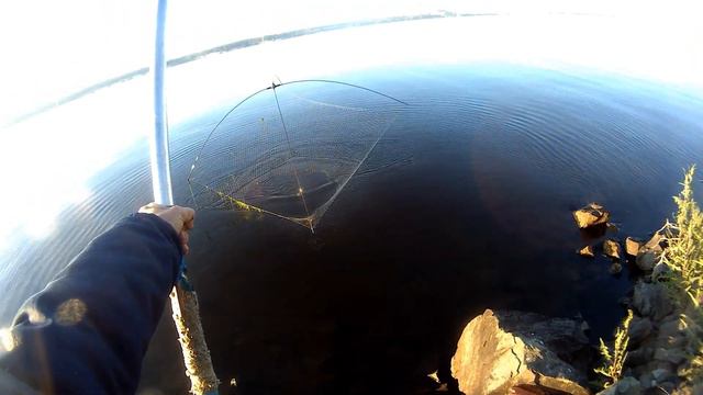 Рыбалка на паук(подъёмник). Рыба прёт. смотреть онлайн