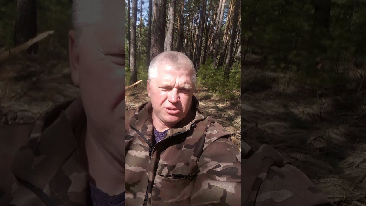 #shorts С праздником Вербным воскресеньем смотреть онлайн