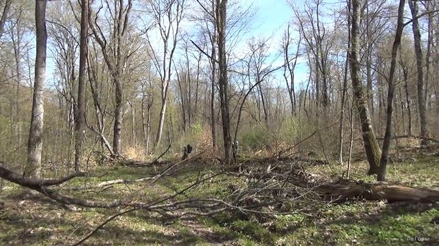 Майский поход 2021г по реке Фарс и скале Галкина смотреть онлайн