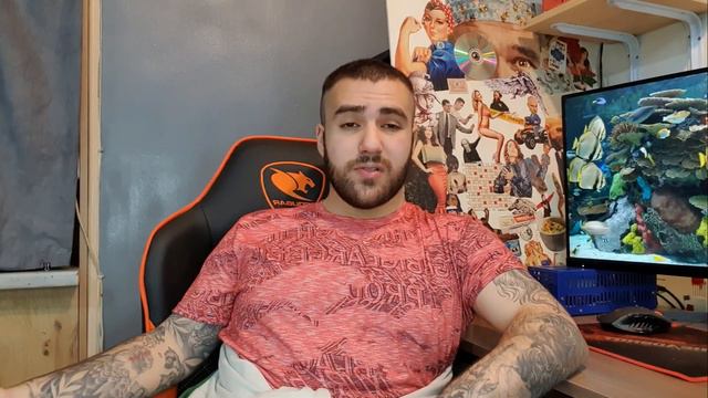 Семейные животные