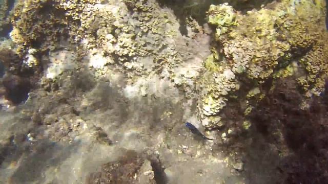 Port de los abrigos смотреть онлайн