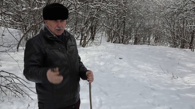 КАК ВЫЖИТЬ В ЛЕСУ,В СЕЗОН ЧЕРЕМШИ смотреть онлайн