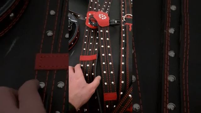 упряжь выездная кожаная . шлея нарытник вожжи смотреть онлайн