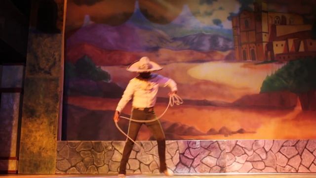 Мастер лассо