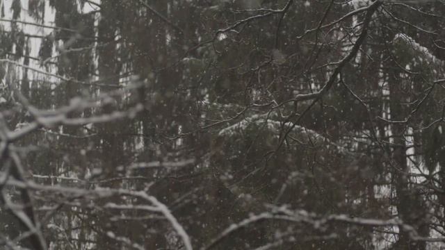 Артур Сита - Обрати внимание на внимание смотреть онлайн