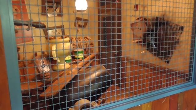 10 Fun Easter Eggs at Islands of Adventure - Universal Orlando смотреть онлайн