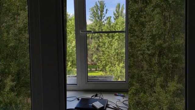 Лайфхак ,как поймать Осу, в домашних условиях. смотреть онлайн