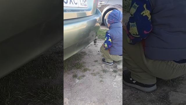 Тема играет с жуком смотреть онлайн