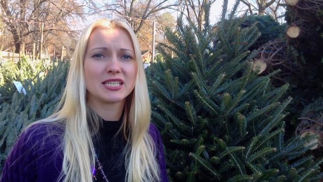 Рождество в США, Традиции празднования, Рождество в Америке смотреть онлайн