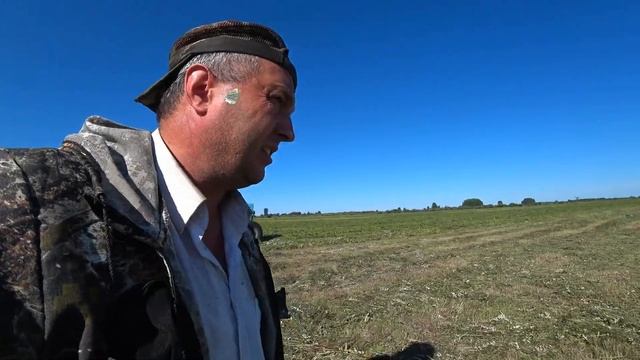 Утром добиваю охват, сенокос в разгаре. смотреть онлайн