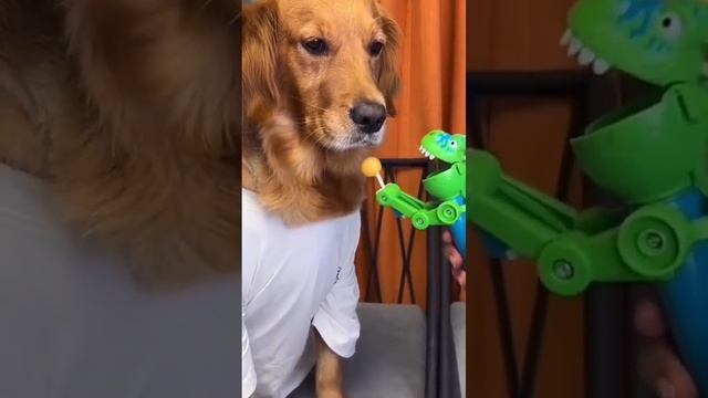 игрушка и пёс смотреть онлайн