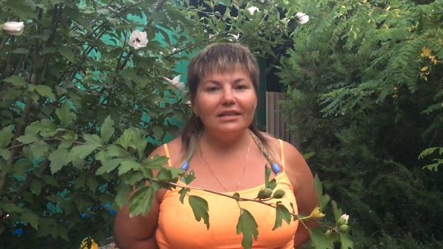 ХОТЕЛА СОКОВЫЖИМАЛКУ, ПОЛУЧИЛА ДЕНЬГИ! смотреть онлайн
